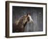 Winters Arrival Horse-Jai Johnson-Framed Giclee Print