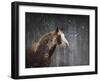 Winters Arrival Horse-Jai Johnson-Framed Giclee Print