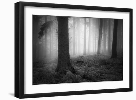 Winters Chill-David Baker-Framed Photographic Print