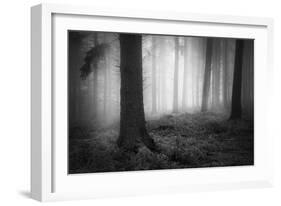 Winters Chill-David Baker-Framed Photographic Print