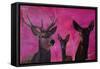 Winters Deer Family with Fawn and Hind-Markus Bleichner-Framed Stretched Canvas