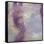 Winters Garden II-Julia Contacessi-Framed Stretched Canvas