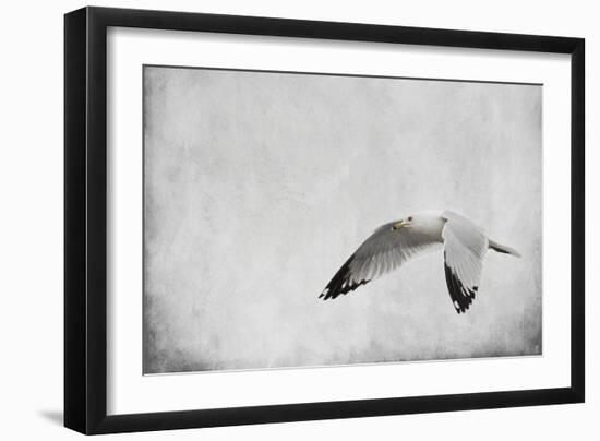 Winters Return-Jai Johnson-Framed Giclee Print