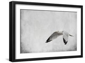 Winters Return-Jai Johnson-Framed Giclee Print