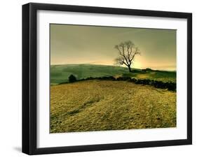 Winters Silence-Mark Gemmell-Framed Photographic Print