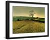 Winters Silence-Mark Gemmell-Framed Photographic Print