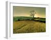 Winters Silence-Mark Gemmell-Framed Photographic Print