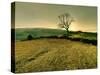 Winters Silence-Mark Gemmell-Stretched Canvas