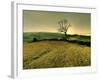 Winters Silence-Mark Gemmell-Framed Photographic Print