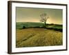 Winters Silence-Mark Gemmell-Framed Photographic Print