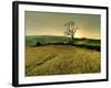 Winters Silence-Mark Gemmell-Framed Photographic Print