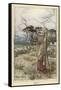 Winters Tale - Perdita-Arthur Rackham-Framed Stretched Canvas