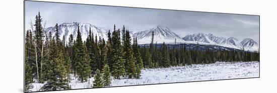 Winterscape-Brenda Petrella Photography LLC-Mounted Giclee Print