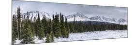 Winterscape-Brenda Petrella Photography LLC-Mounted Giclee Print