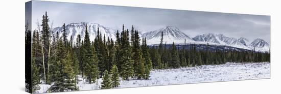 Winterscape-Brenda Petrella Photography LLC-Stretched Canvas