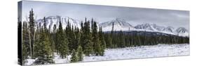 Winterscape-Brenda Petrella Photography LLC-Stretched Canvas