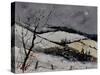 Winterscene 4531-Pol Ledent-Stretched Canvas