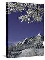 Winterscene of the Flatirons in Boulder, Colorado-D?rte Pietron-Stretched Canvas