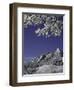 Winterscene of the Flatirons in Boulder, Colorado-D?rte Pietron-Framed Premium Photographic Print