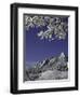 Winterscene of the Flatirons in Boulder, Colorado-D?rte Pietron-Framed Premium Photographic Print