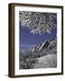 Winterscene of the Flatirons in Boulder, Colorado-Dörte Pietron-Framed Photographic Print