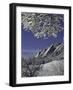 Winterscene of the Flatirons in Boulder, Colorado-Dörte Pietron-Framed Photographic Print