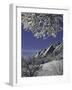 Winterscene of the Flatirons in Boulder, Colorado-Dörte Pietron-Framed Photographic Print