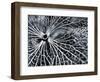 Winterspell-Design Fabrikken-Framed Photographic Print