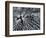 Winterspell-Design Fabrikken-Framed Photographic Print