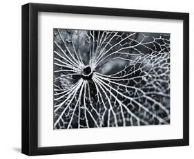 Winterspell-Design Fabrikken-Framed Photographic Print