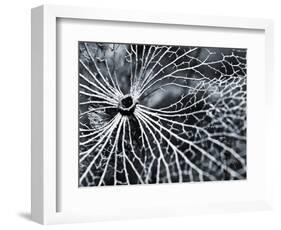 Winterspell-Design Fabrikken-Framed Photographic Print