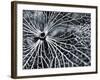 Winterspell-Design Fabrikken-Framed Photographic Print