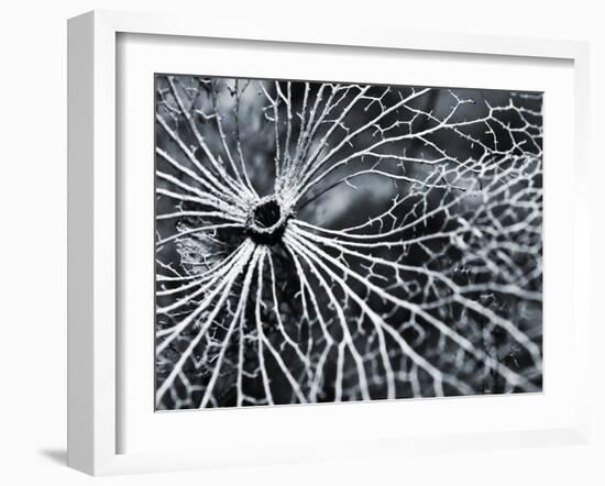 Winterspell-Design Fabrikken-Framed Premium Photographic Print