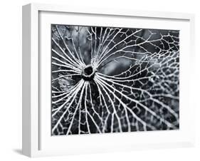 Winterspell-Design Fabrikken-Framed Premium Photographic Print