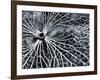 Winterspell-Design Fabrikken-Framed Photographic Print