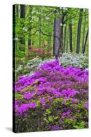 Winterthur Gardens, Delaware, USA-null-Stretched Canvas