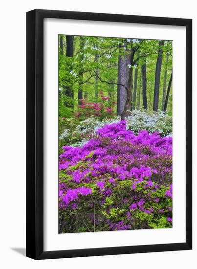 Winterthur Gardens, Delaware, USA-null-Framed Premium Photographic Print