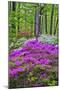 Winterthur Gardens, Delaware, USA-null-Mounted Premium Photographic Print