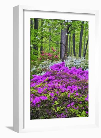 Winterthur Gardens, Delaware, USA-null-Framed Photographic Print