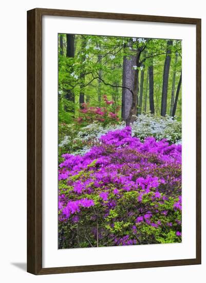 Winterthur Gardens, Delaware, USA-null-Framed Photographic Print