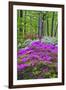 Winterthur Gardens, Delaware, USA-null-Framed Photographic Print