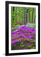 Winterthur Gardens, Delaware, USA-null-Framed Photographic Print