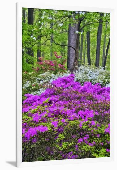 Winterthur Gardens, Delaware, USA-null-Framed Photographic Print