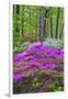 Winterthur Gardens, Delaware, USA-null-Framed Premium Photographic Print