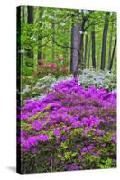 Winterthur Gardens, Delaware, USA-null-Stretched Canvas