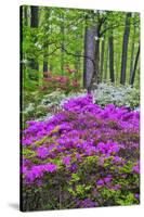 Winterthur Gardens, Delaware, USA-null-Stretched Canvas