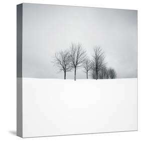 Wintertide-Hakan Strand-Stretched Canvas