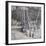 Wintertide-Robert Moore-Framed Art Print