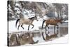 Wintertime, Hideout Ranch, Wyoming. Horses crossing Shell Creek-Darrell Gulin-Stretched Canvas