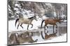Wintertime, Hideout Ranch, Wyoming. Horses crossing Shell Creek-Darrell Gulin-Mounted Photographic Print